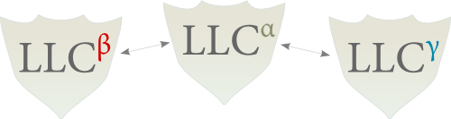 Starting a new LLC or Limited Liability Company Shields